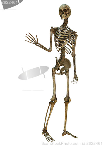 Image of Waving Skeleton