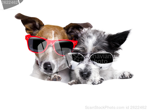 Image of two dogs very close together