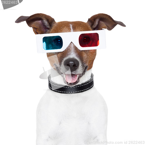 Image of 3d  glasses movie cinema dog