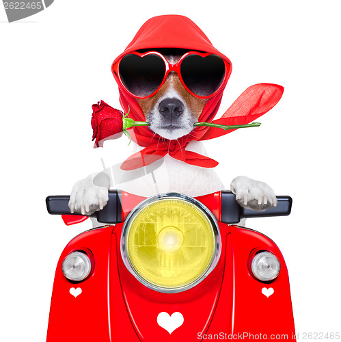 Image of motorcycle valentine dog