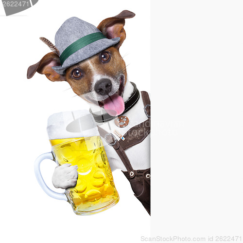 Image of oktoberfest dog