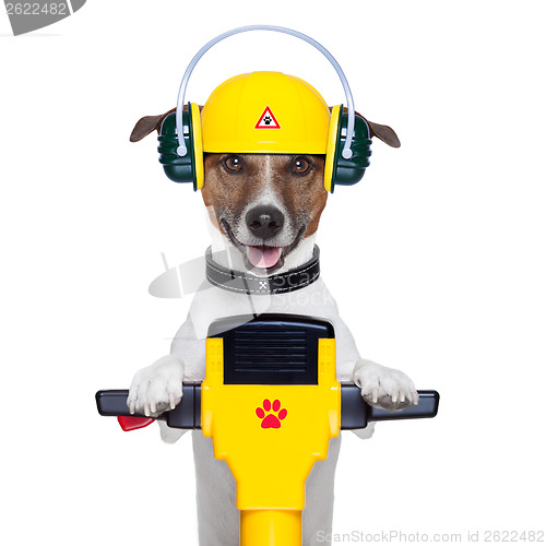 Image of handyman dog worker