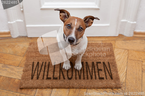 Image of dog welcome home