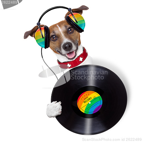 Image of dj dog