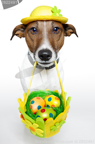 Image of Dog holding colorful easter basket 