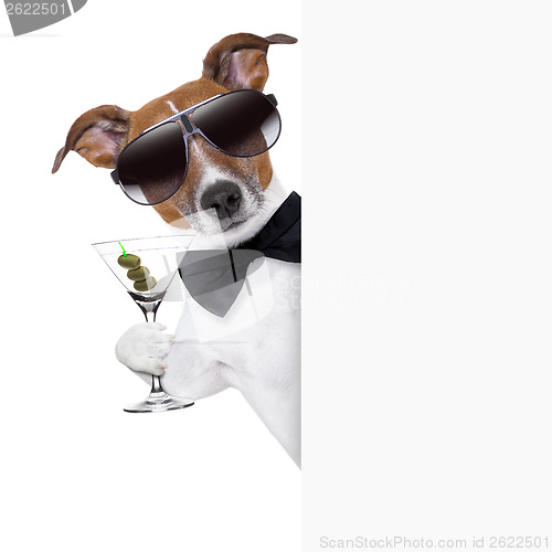 Image of dog toasting