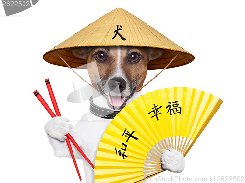 Image of asian dog 