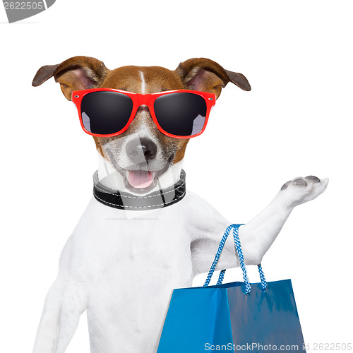 Image of shopping dog