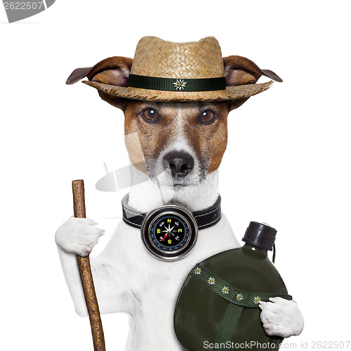Image of hike compass hat dog 
