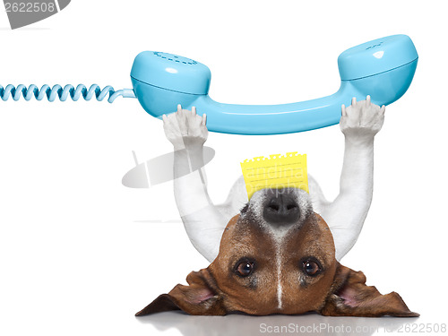 Image of dog telephone