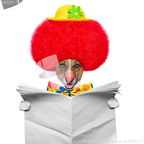 Image of clown dog with red wig and hat