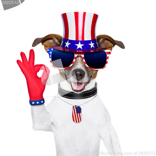 Image of usa american dog 