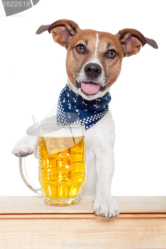 Image of drunk dog with beer