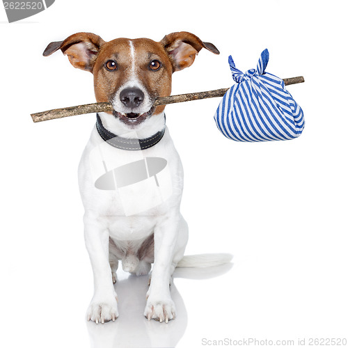 Image of dog with a stick and a blue bag