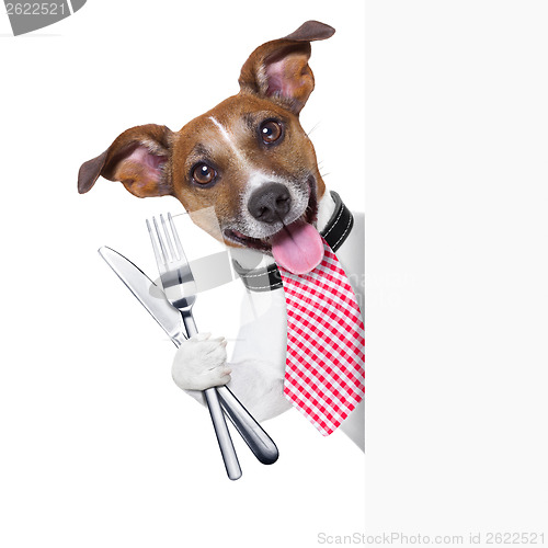 Image of hungry dog