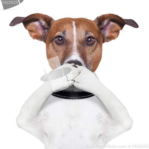 Image of covering mouth dog 