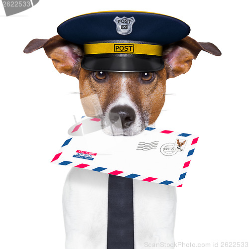Image of mail dog