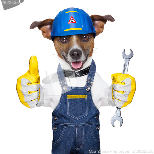 Image of Craftsman dog 