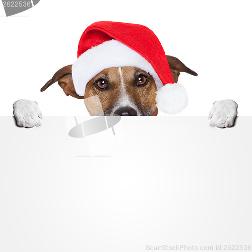 Image of christmas banner placeholder dog