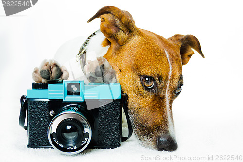 Image of dog photo camera