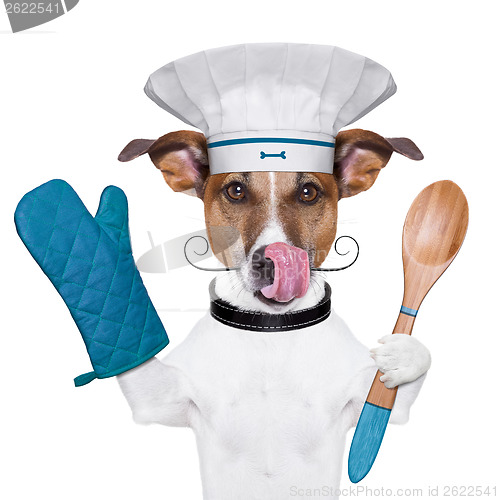 Image of dog cook chef 