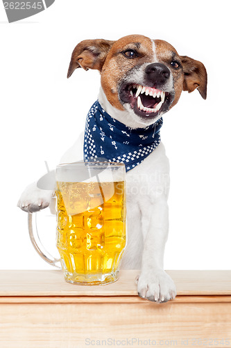 Image of drunk dog with beer