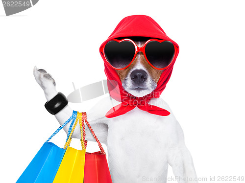 Image of shopaholic diva dog