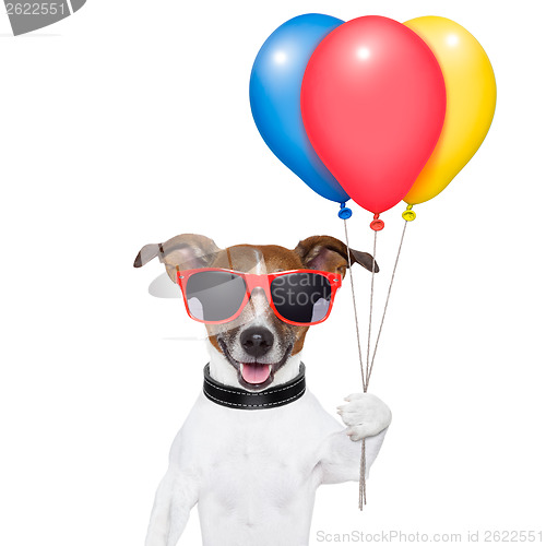 Image of dog balloons and cotton candy