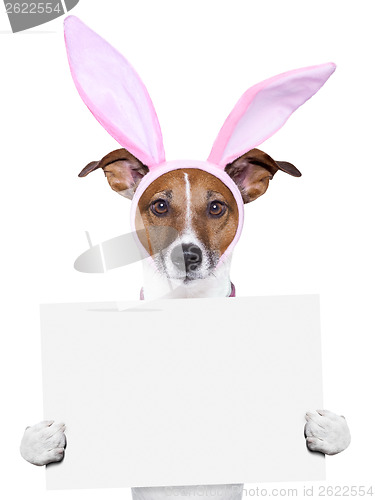 Image of  funny easter dog with blank space