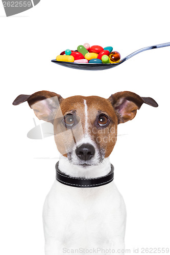 Image of dog pills diet