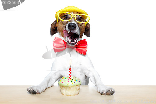 Image of birthday dog cupcake