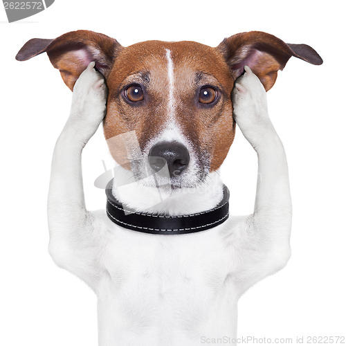 Image of covering ears dog