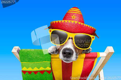 Image of mexican dog