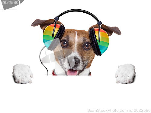 Image of music dog