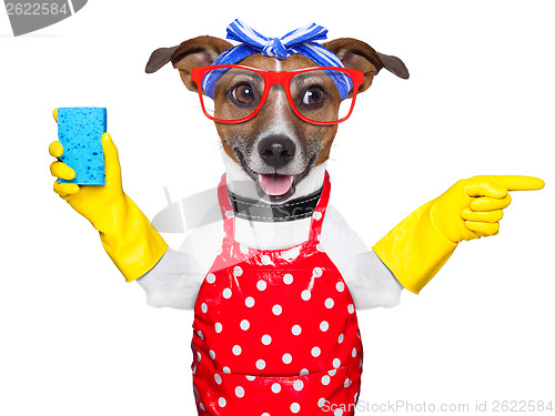 Image of housewife dog 