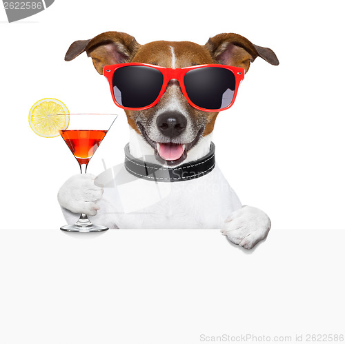 Image of funny cocktail dog banner