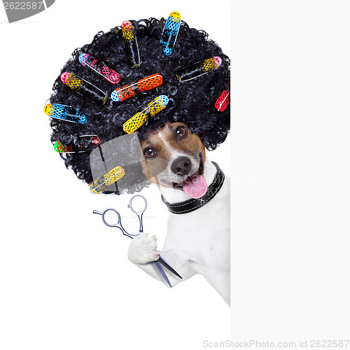 Image of hairdresser   dog 