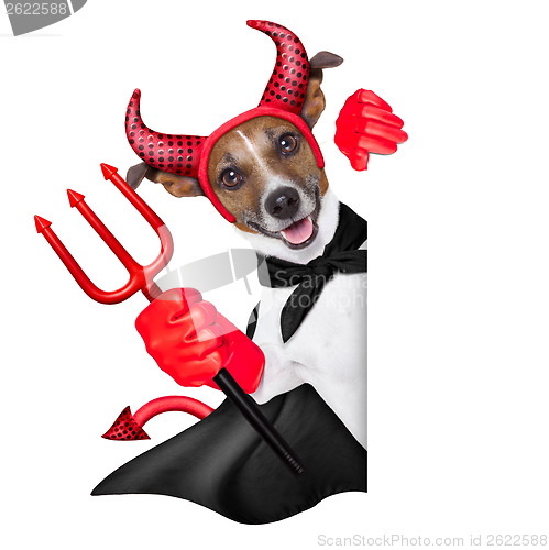 Image of devil dog 