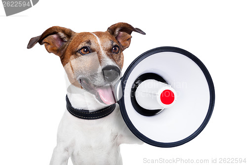 Image of dog megaphone