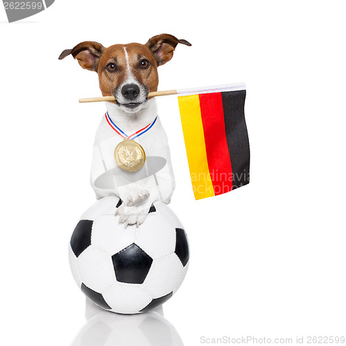 Image of dog as soccer with medal and  flag
