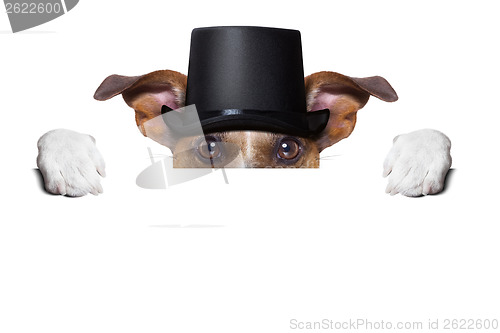Image of dog toasting 
