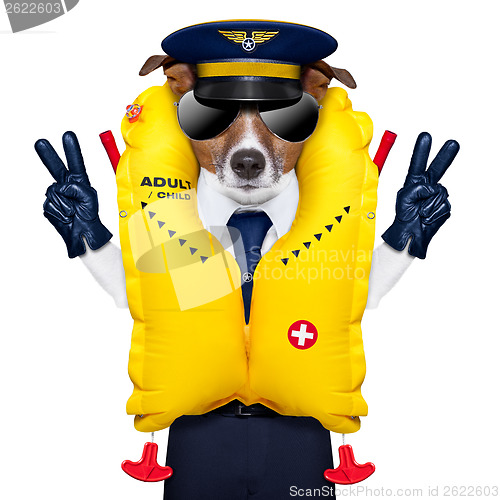 Image of pilot dog