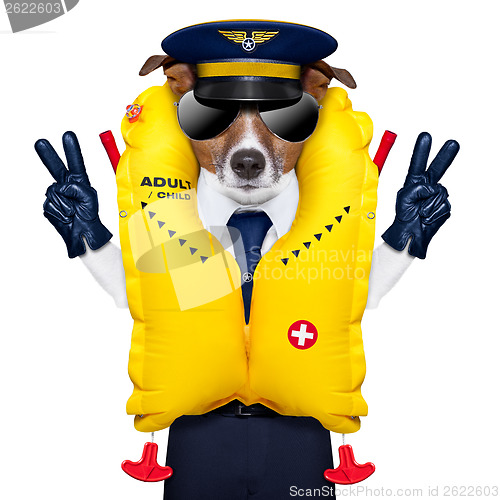 Image of pilot dog