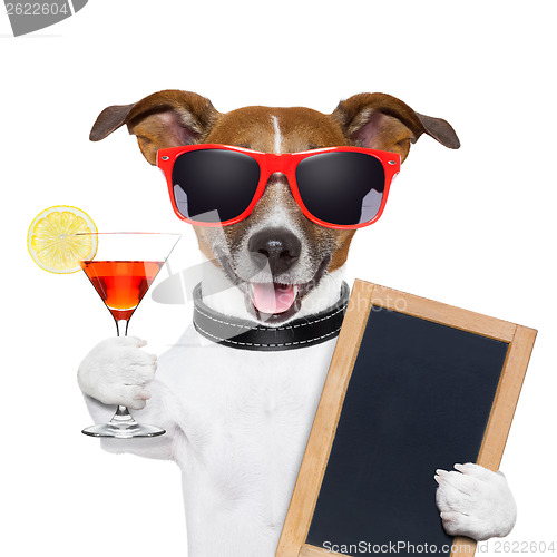 Image of funny cocktail dog 