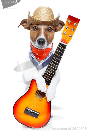 Image of cowboy dog 