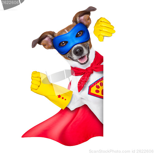 Image of super hero dog