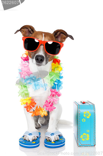 Image of tourist dog with hawaiian  lei and a bag