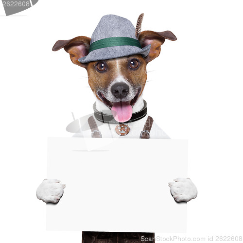 Image of oktoberfest dog