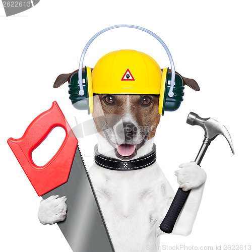 Image of handyman dog 