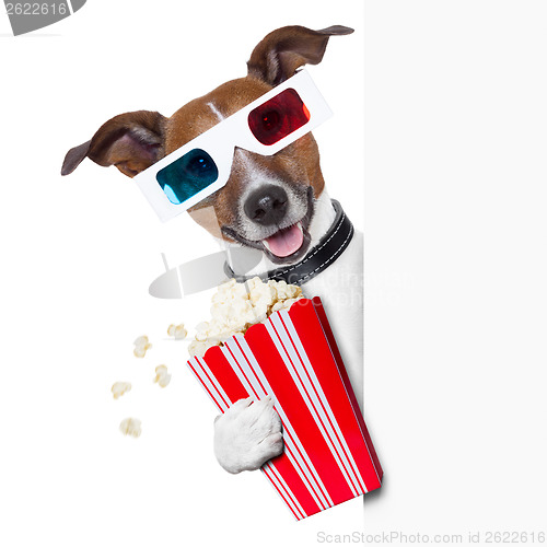 Image of cinema dog 